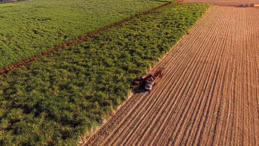Mato Grosso: A Terra do Agro