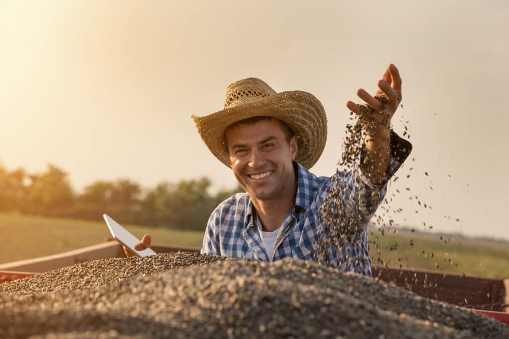 Por que o Mato Grosso é o maior produtor de grãos do Brasil?