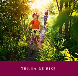 aprecie-TRILHA_DE_BIKE